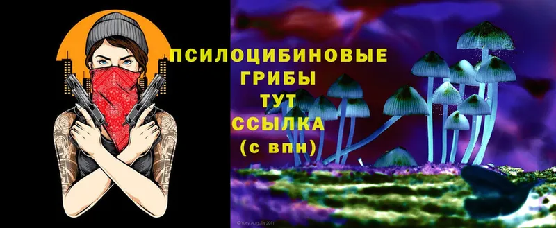 Галлюциногенные грибы Cubensis Талдом